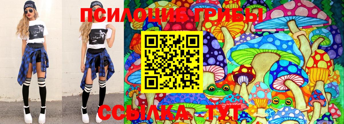 Псилоцибиновые грибы Cubensis Фрязино