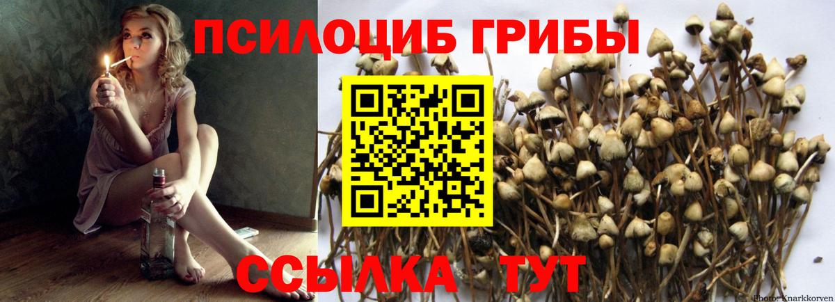 Фрязино  Галлюциногенные грибы Psilocybe  Вход с VPN  Псилоцибиновые грибы Cubensis 